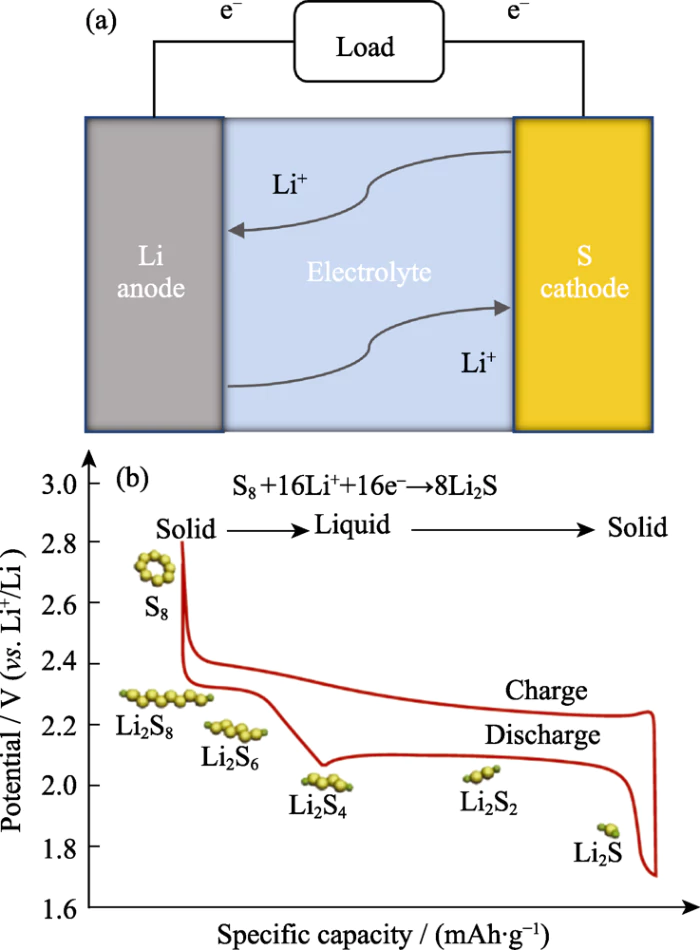 Fig. 1 Diagramma schematico di (a) configurazione della batteria al litio-zolfo e (b) corrispondente processo di carica-scarica