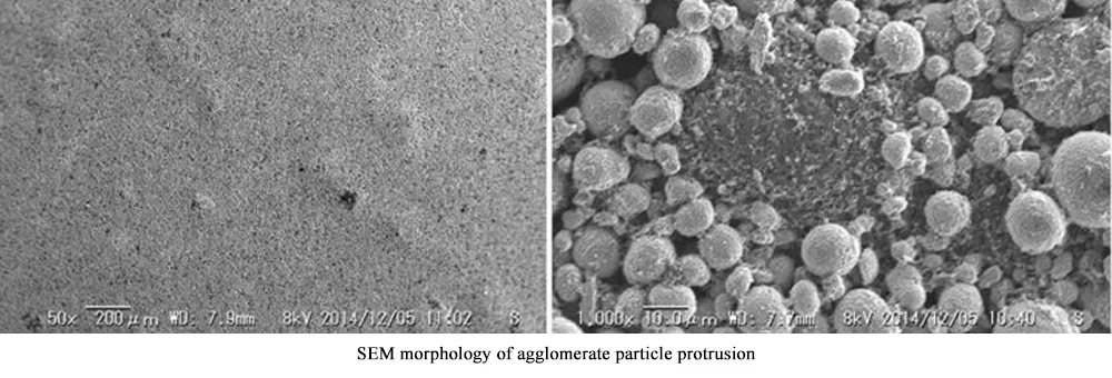 SEM morphology of agglomerate particle protrusion