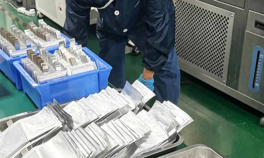 1Ah NFM Sodium-Ion Pouch Cell for Research