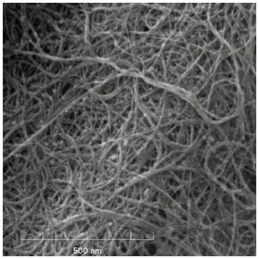 nanotubo di carbonio multi parete